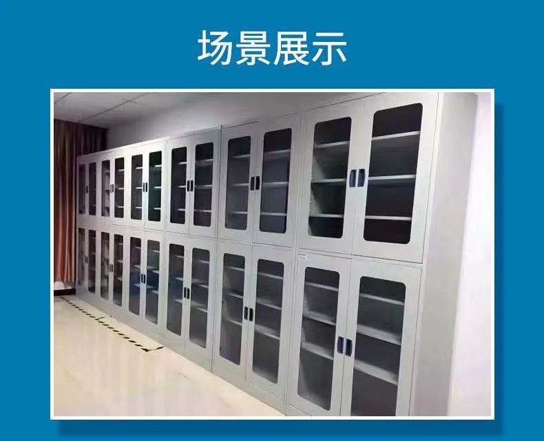 山东官方入口全钢药品柜，玻璃器皿柜试剂存储柜
